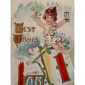 Antique 1916 Ephemera Postcard Embossed Baby New Year Polar Bear Midland Pub Co